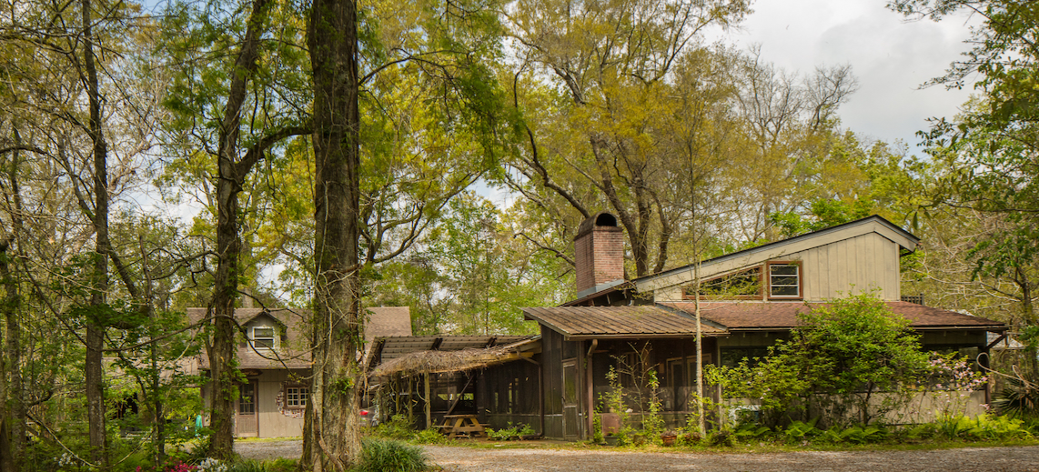 A Studio in the Woods  cover photo