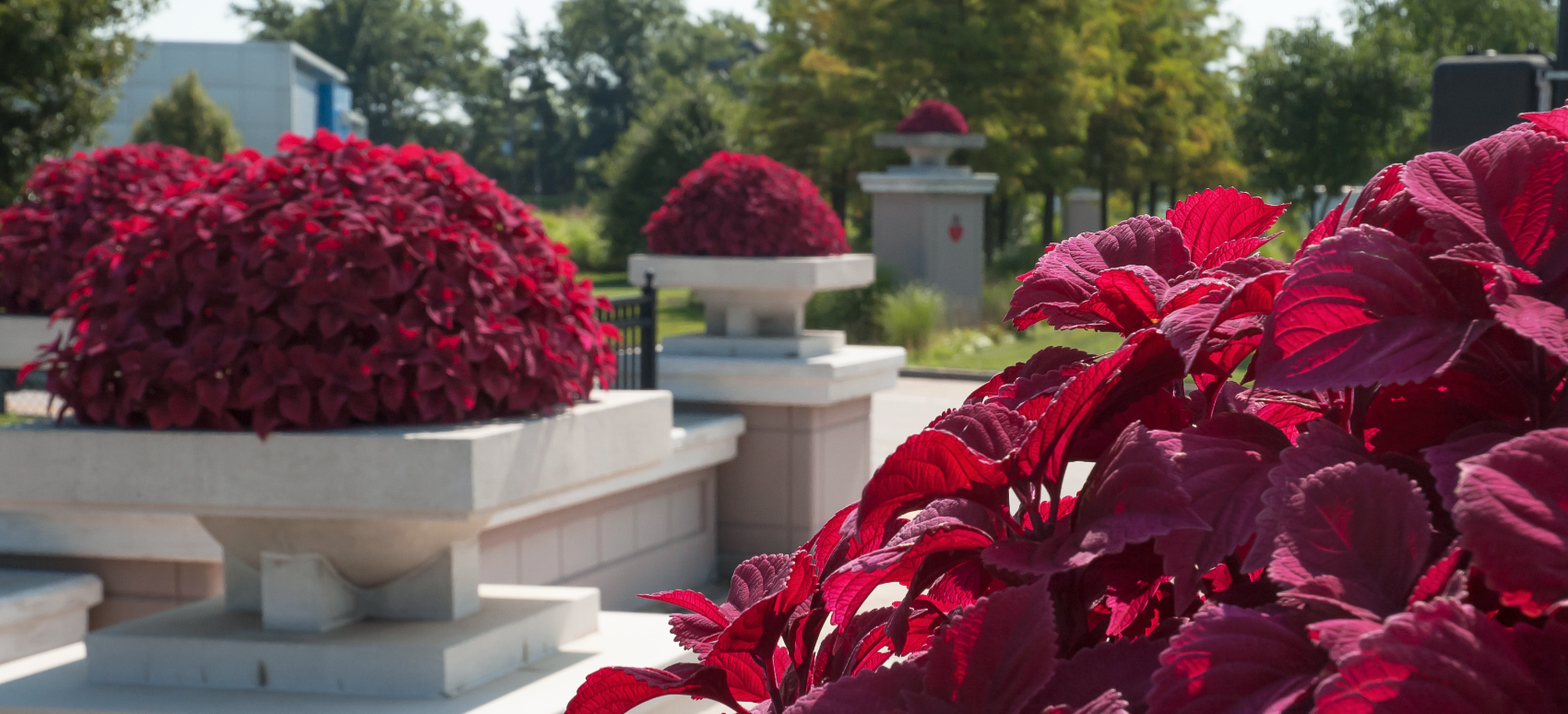 City of Creve Coeur, MO  cover photo