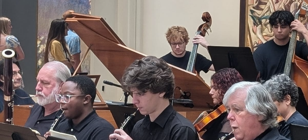 Lemp Neighborhood Arts Center - El Sistema STL  cover photo