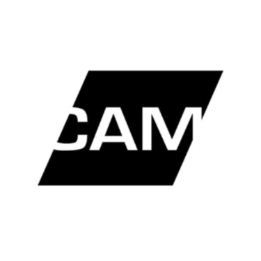 Contemporary Art Museum St. Louis 