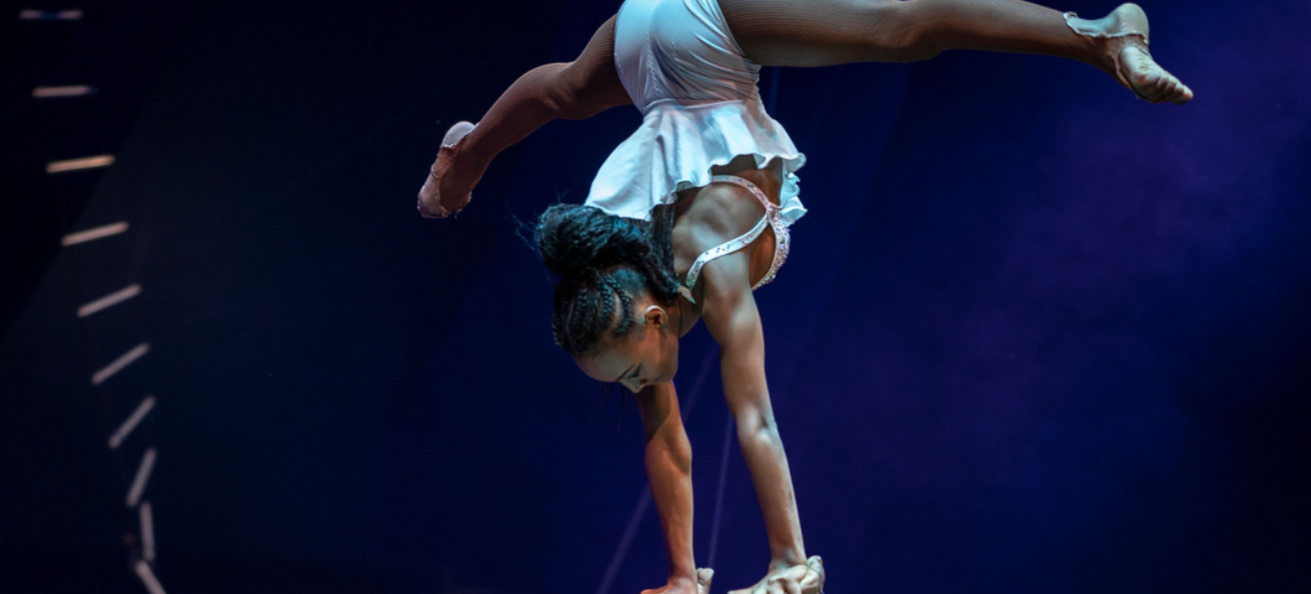 Circus Flora  cover photo