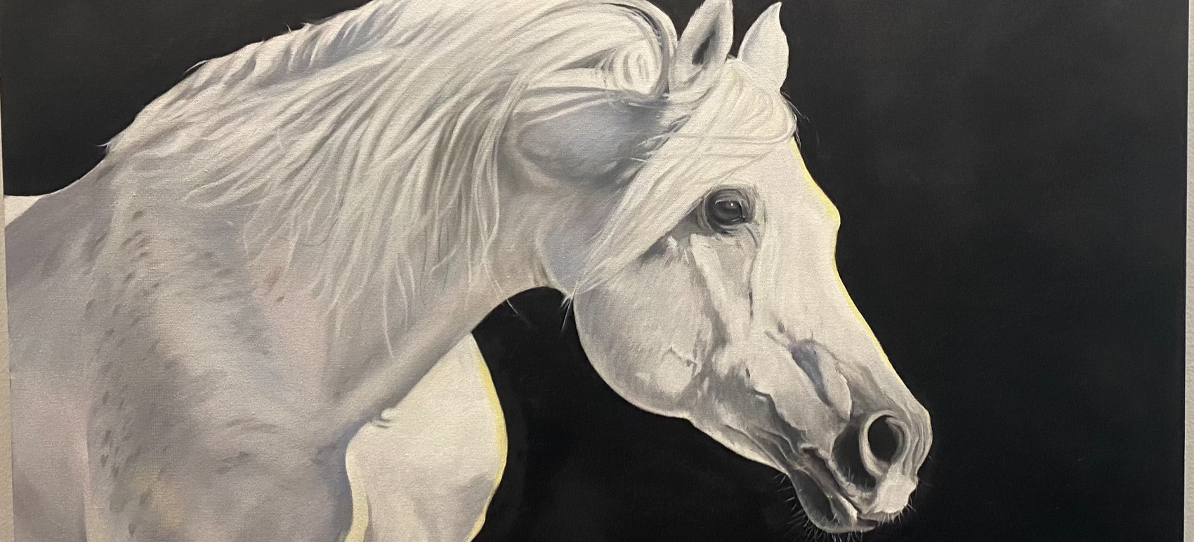 Dawn Taft cover photo