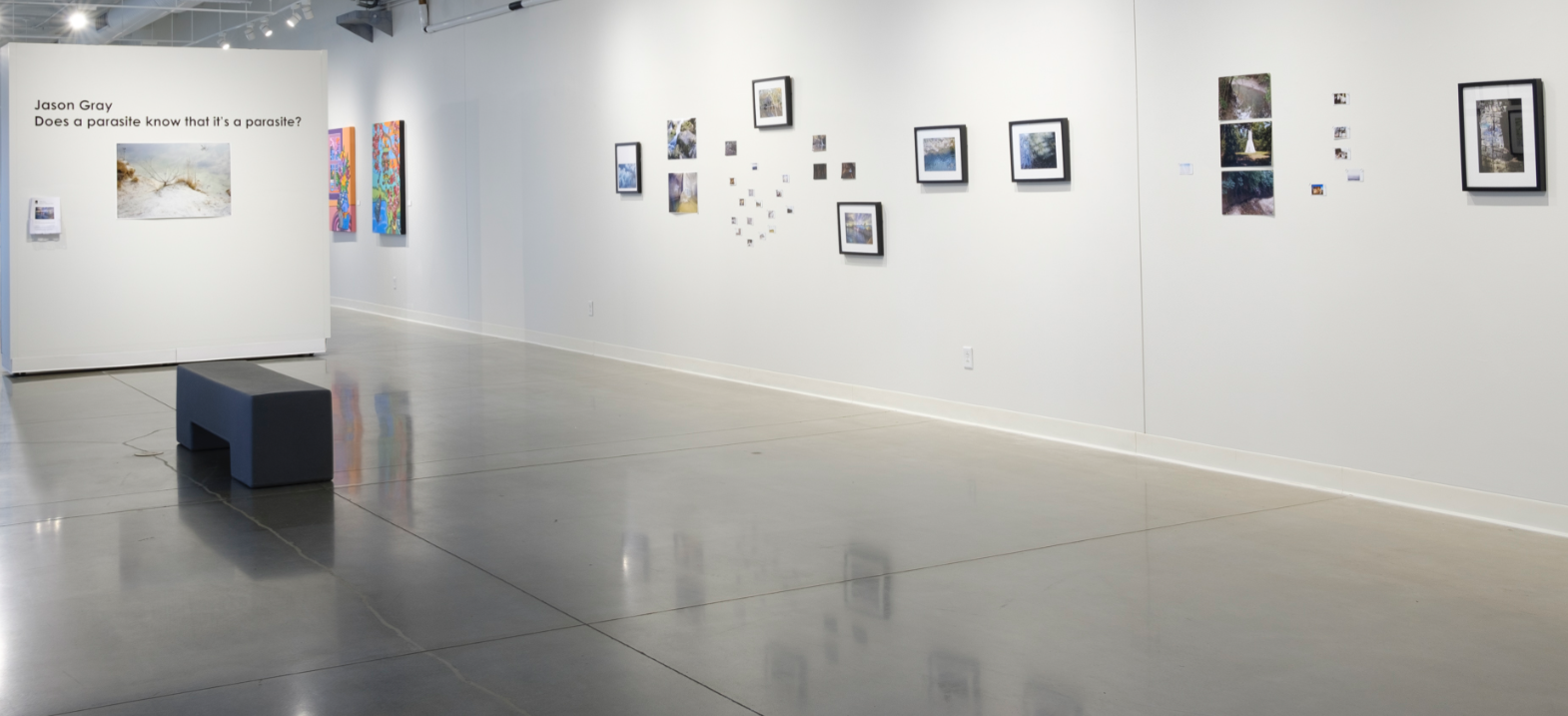 Jason Gray cover photo