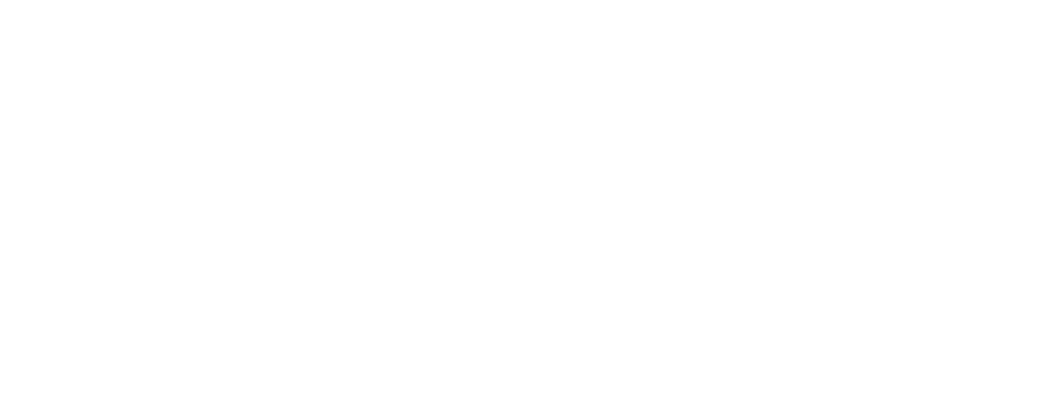 Partner organization 2 logo