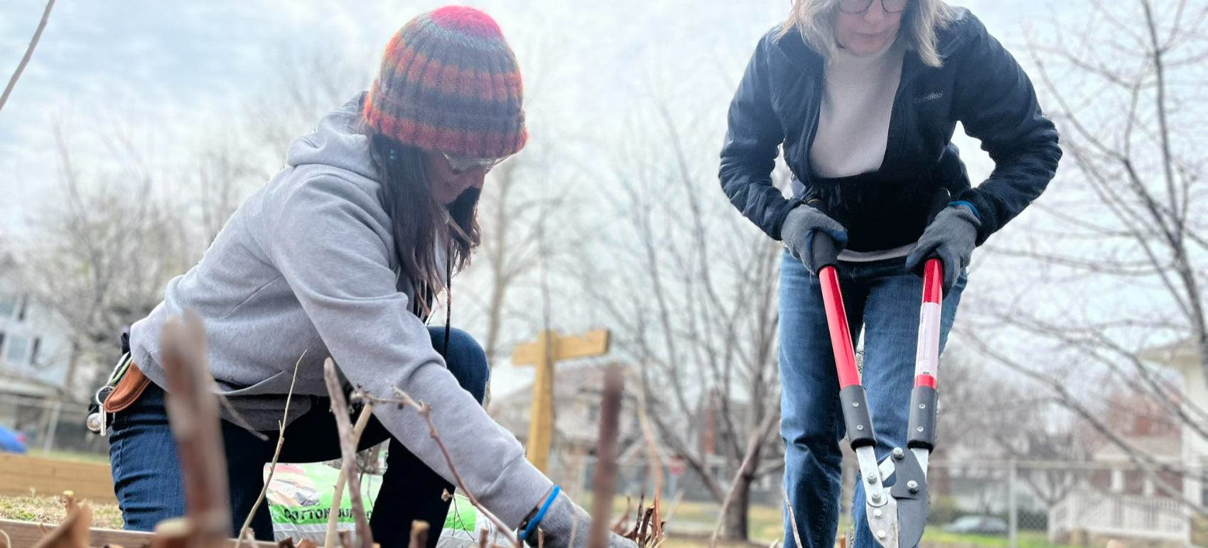 Carondelet Food Patch  cover photo
