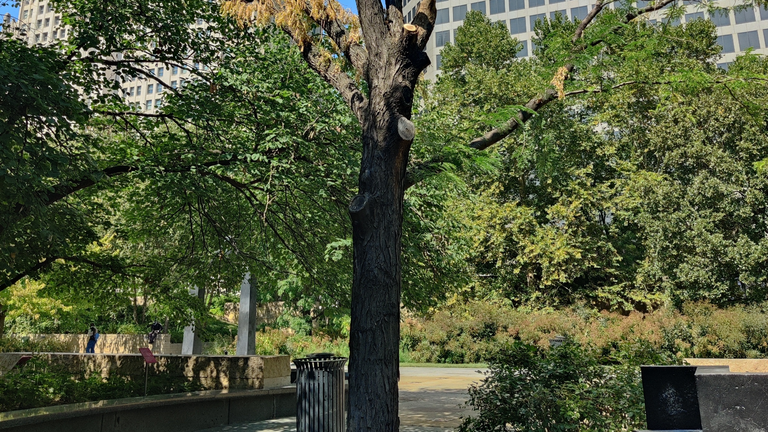 Citygarden Locust Sculpture opportunity image